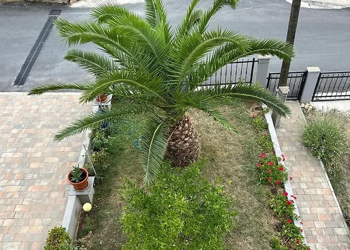 Markovic Sea View זאדאר